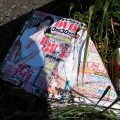 エッチな本
