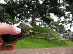 一里塚前で昼食