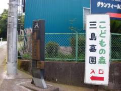 市の山新田