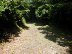 浅間平地区石畳下り