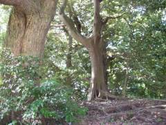 笹原一里塚