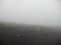 霧の登山道
