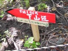 ゴールはあと少し