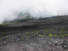 砂走り全景