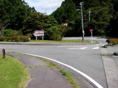やすらぎの森