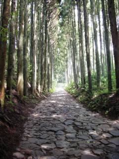 山中石畳