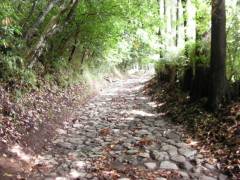山中石畳