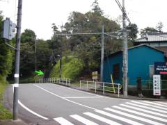 市の山新田