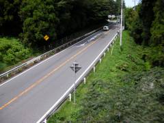 歩道橋からの風景