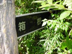 箱根峠への案内
