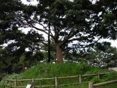 錦田一里塚