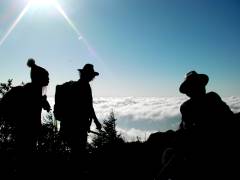 下は雲海が見えるのみ