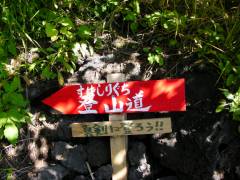 真剣に登ろう！！
